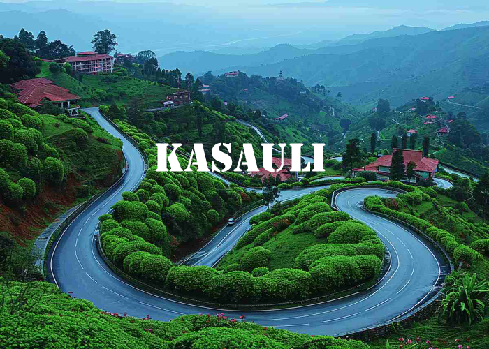 Best Taxi Booking Katra