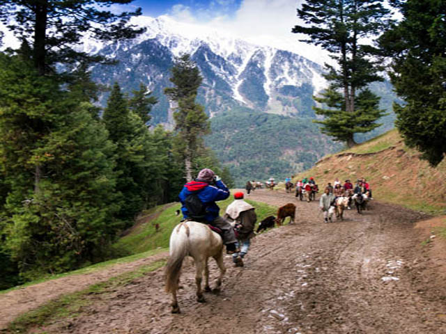 Taxi Service Jammu