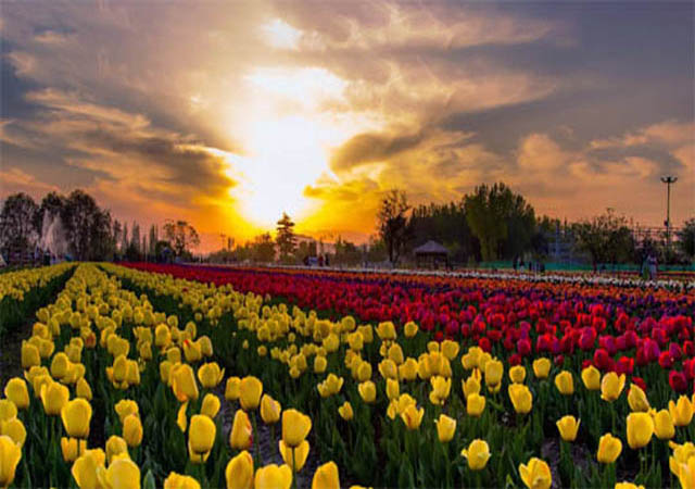 Taxi Service in Jammu