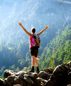 Best Taxi Agency in Katra
