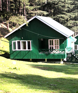 Best Taxi Service in Katra