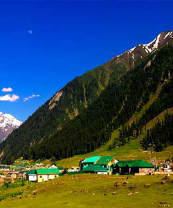 Best Taxi Service in Katra